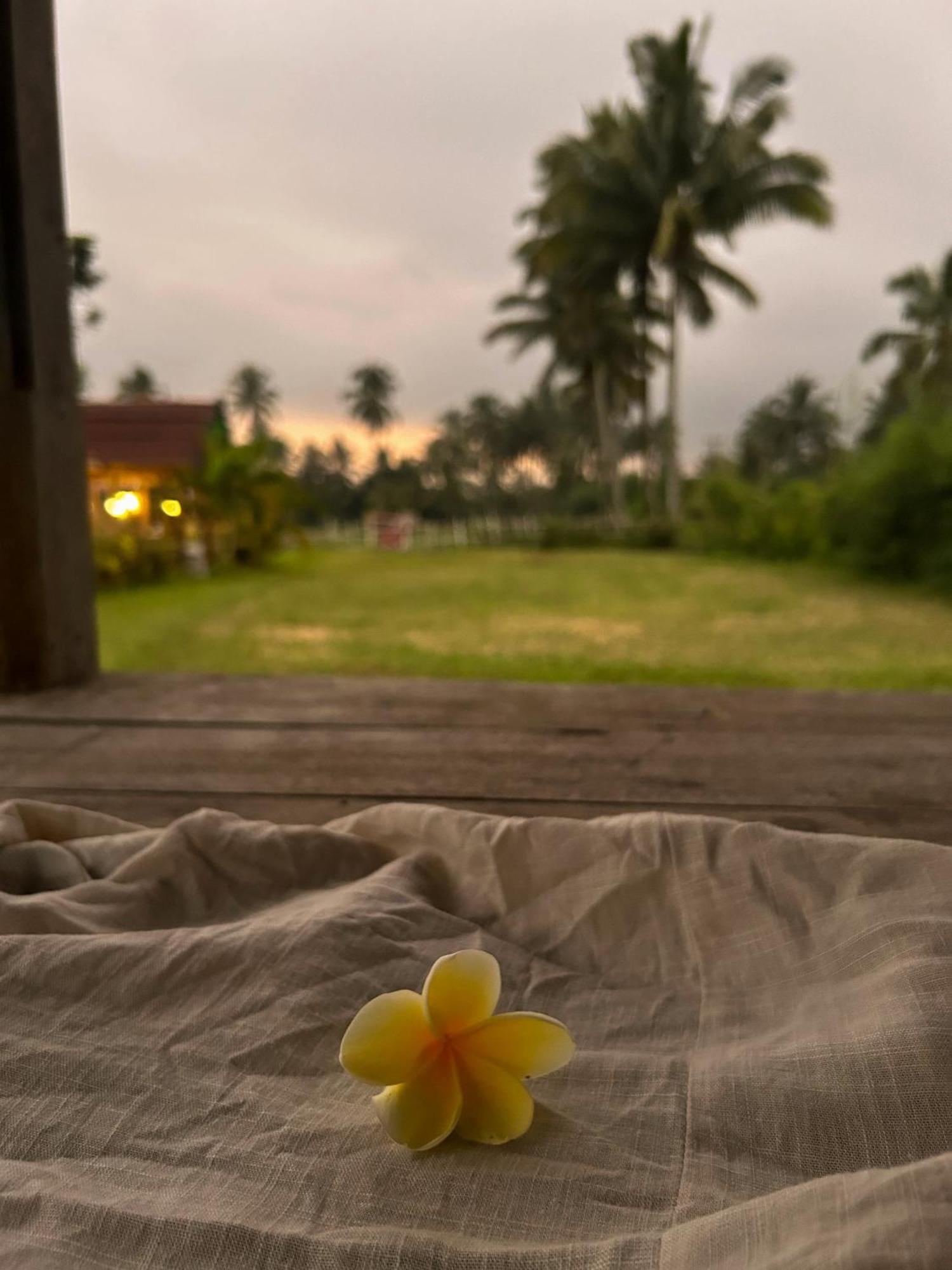 Linkgreen Homestay Lombok Tetebatu Eksteriør bilde