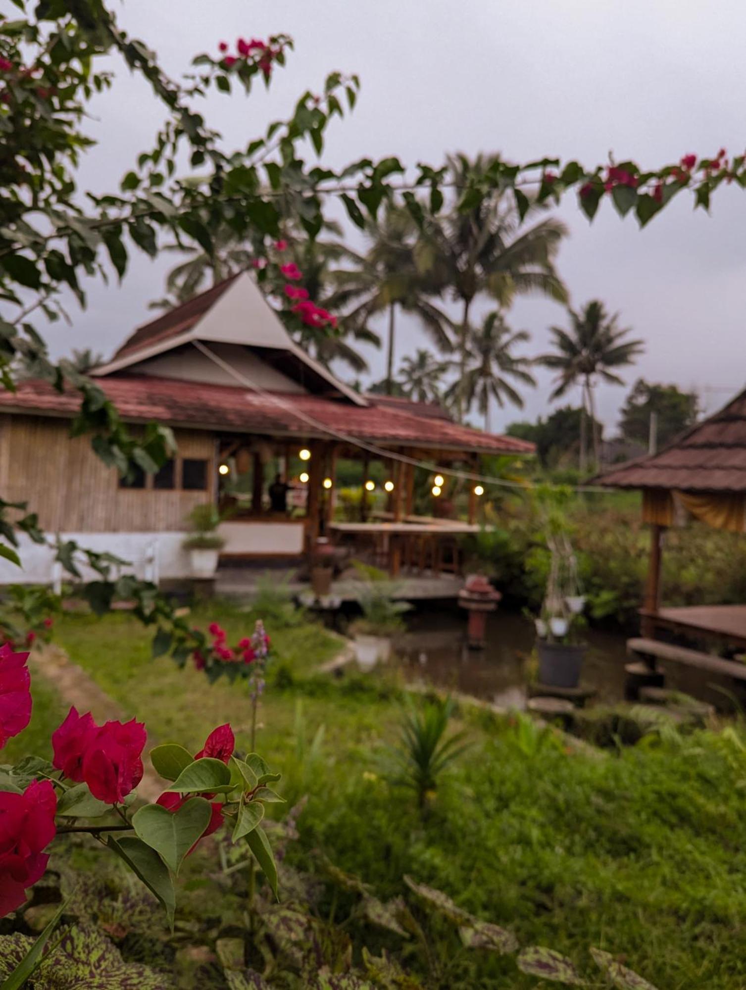 Linkgreen Homestay Lombok Tetebatu Eksteriør bilde