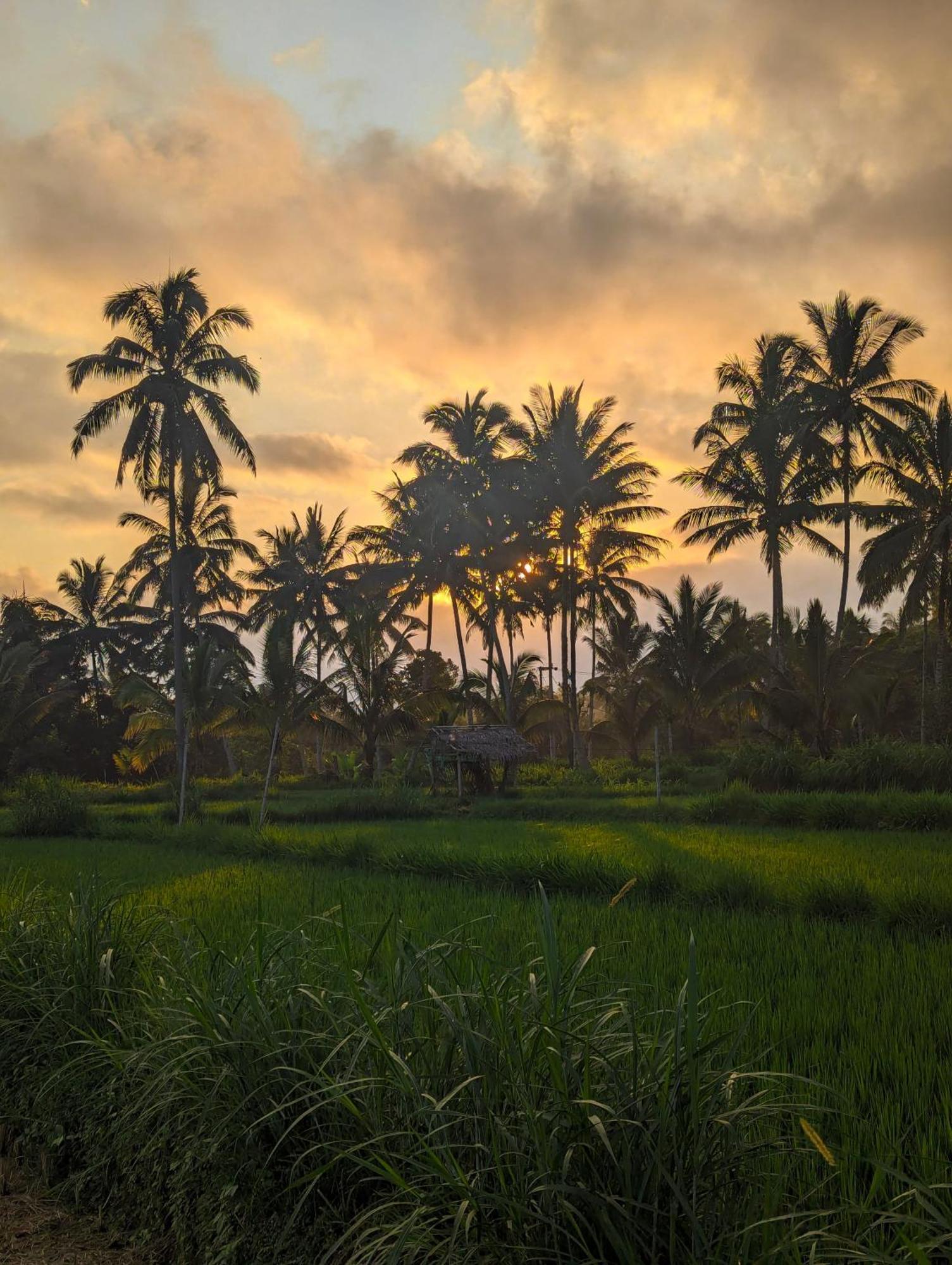 Linkgreen Homestay Lombok Tetebatu Eksteriør bilde